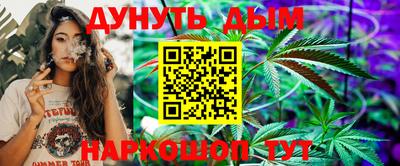 шишки Балашиха