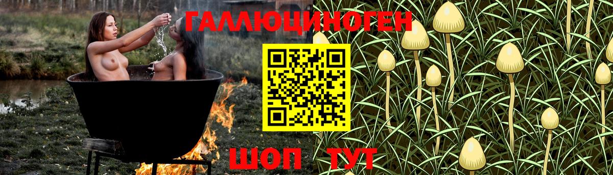 Псилоцибиновые грибы мухоморы Елабуга