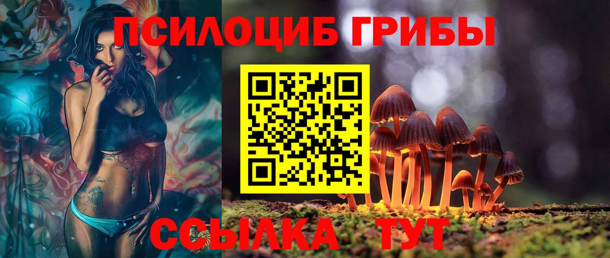 Елабуга  Галлюциногенные грибы MAGIC MUSHROOMS  Вход с VPN 